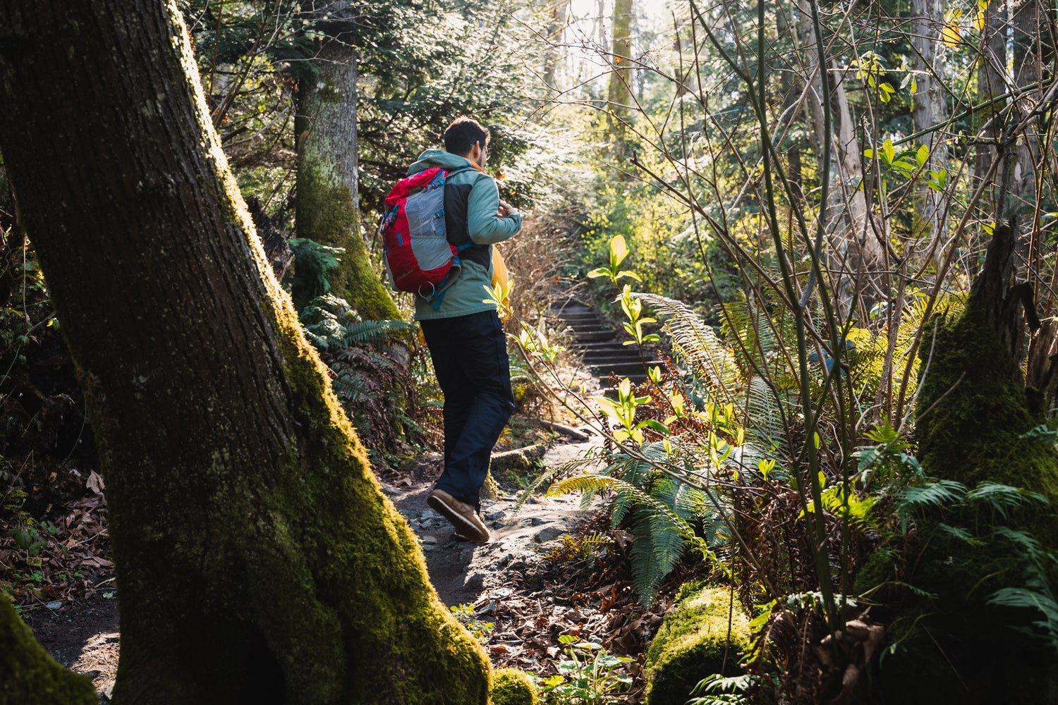 sun break on heavily wooded PNW trail with guy walking with red pack