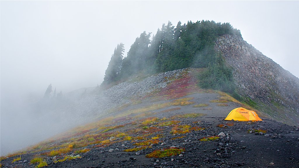 How to Waterproof and Seam Seal a Tent