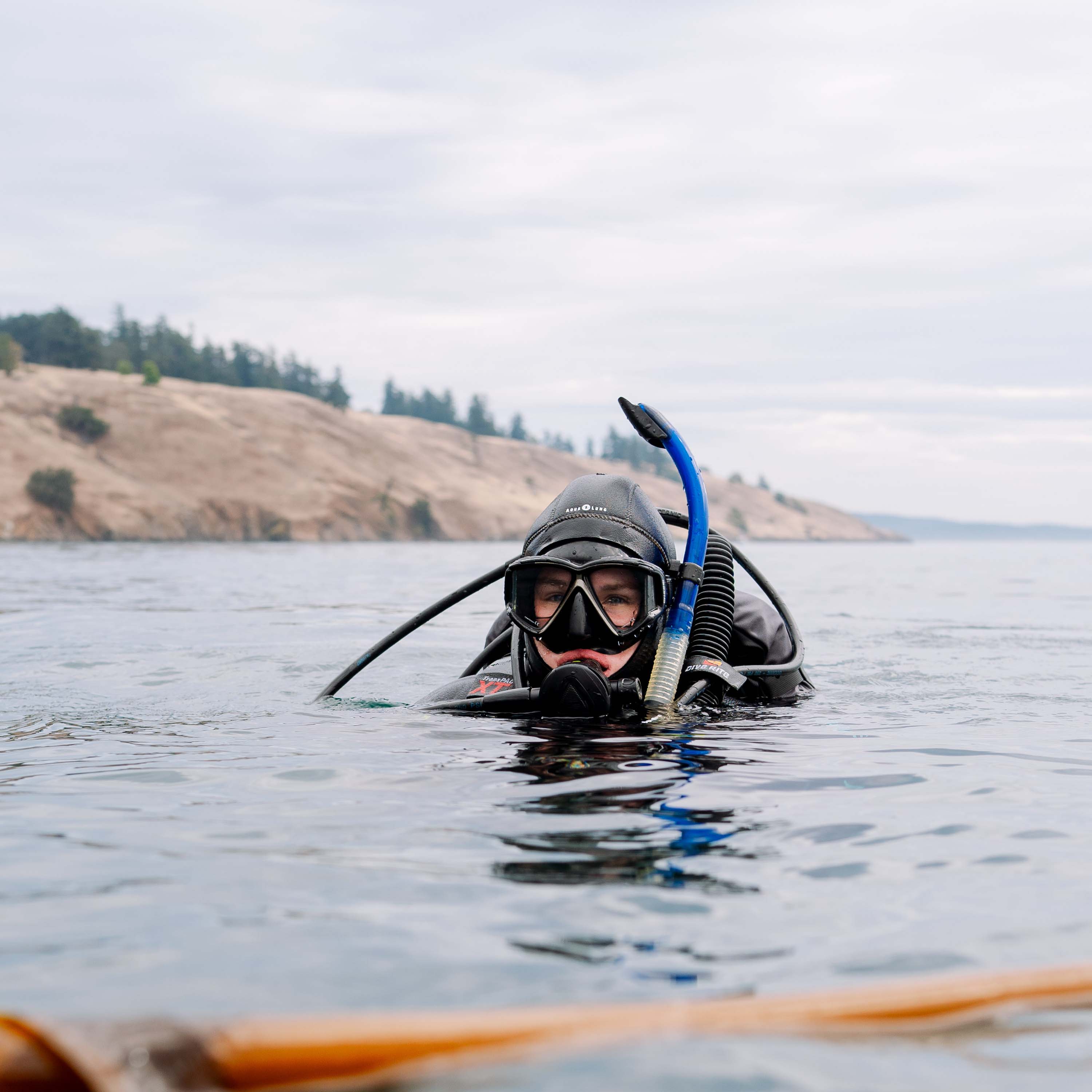 Person scuba diving in a body of water with a scenic background.
