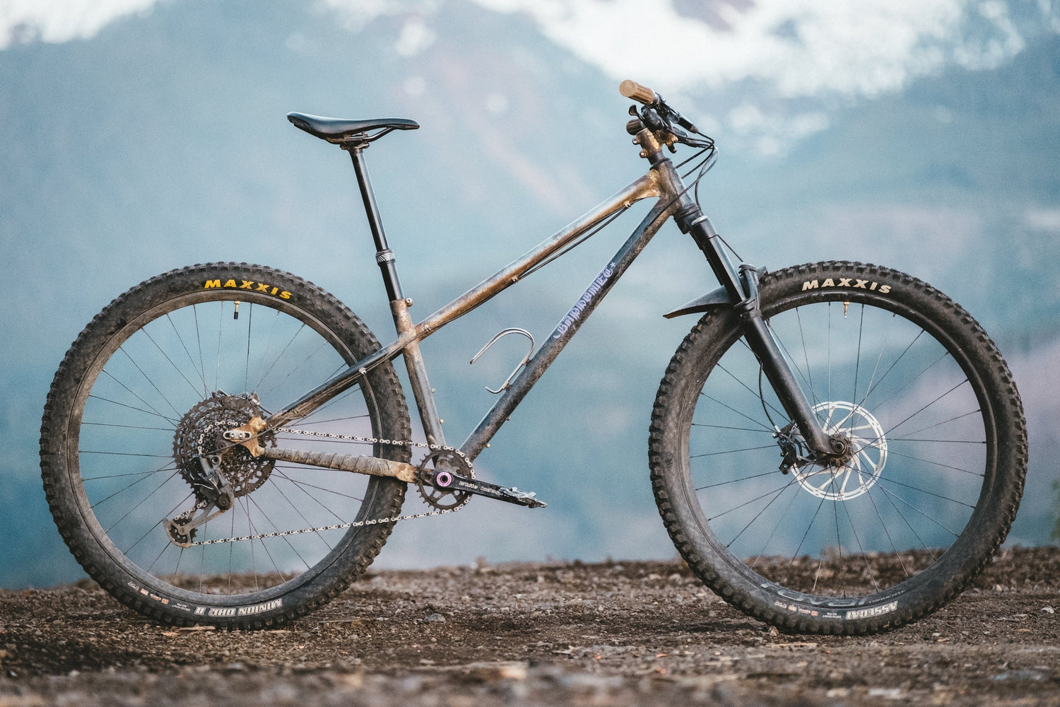 A mountain bike with a raw‑metal frame stands on a dirt overlook with mountains in the background.