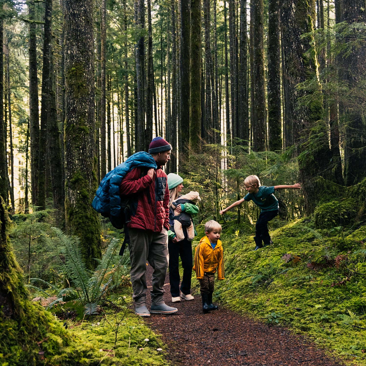 Family with children walking on a path in a dense forest