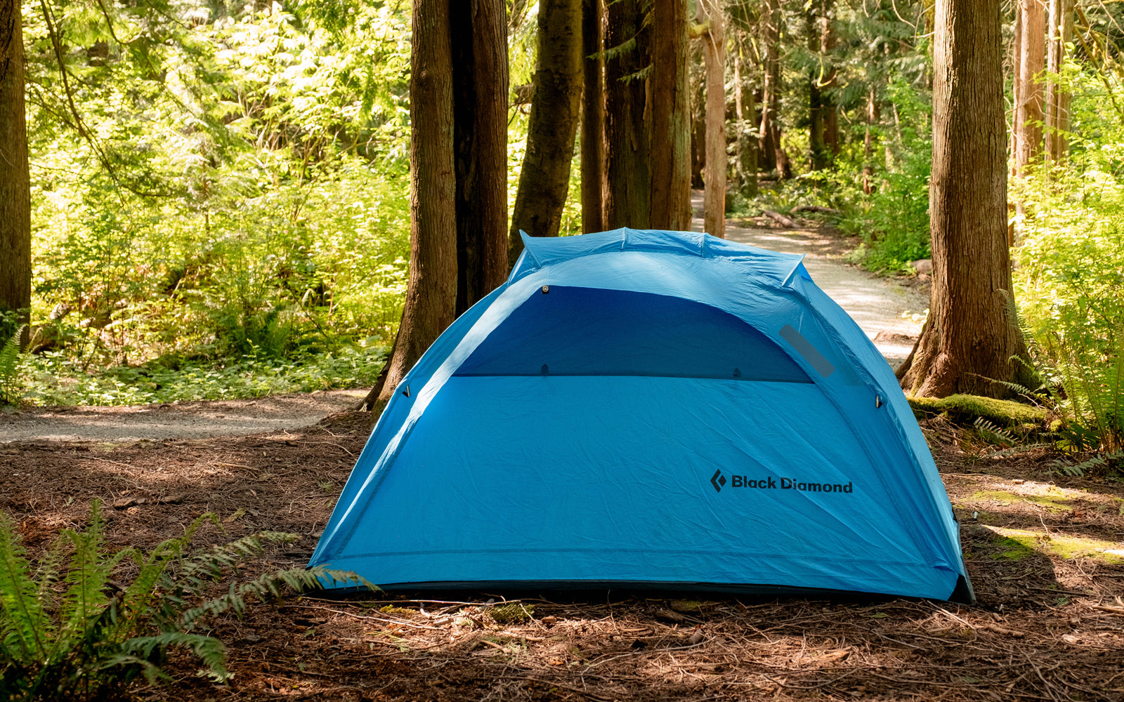 Blue tent with Black Diamond logo in a forest setting with a gray Tenacious Tape Patch.