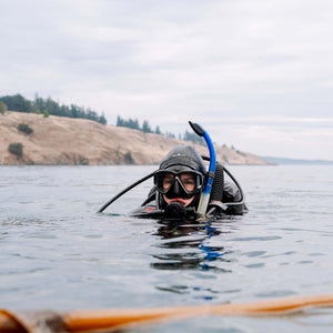 Person scuba diving in a body of water with a scenic background.