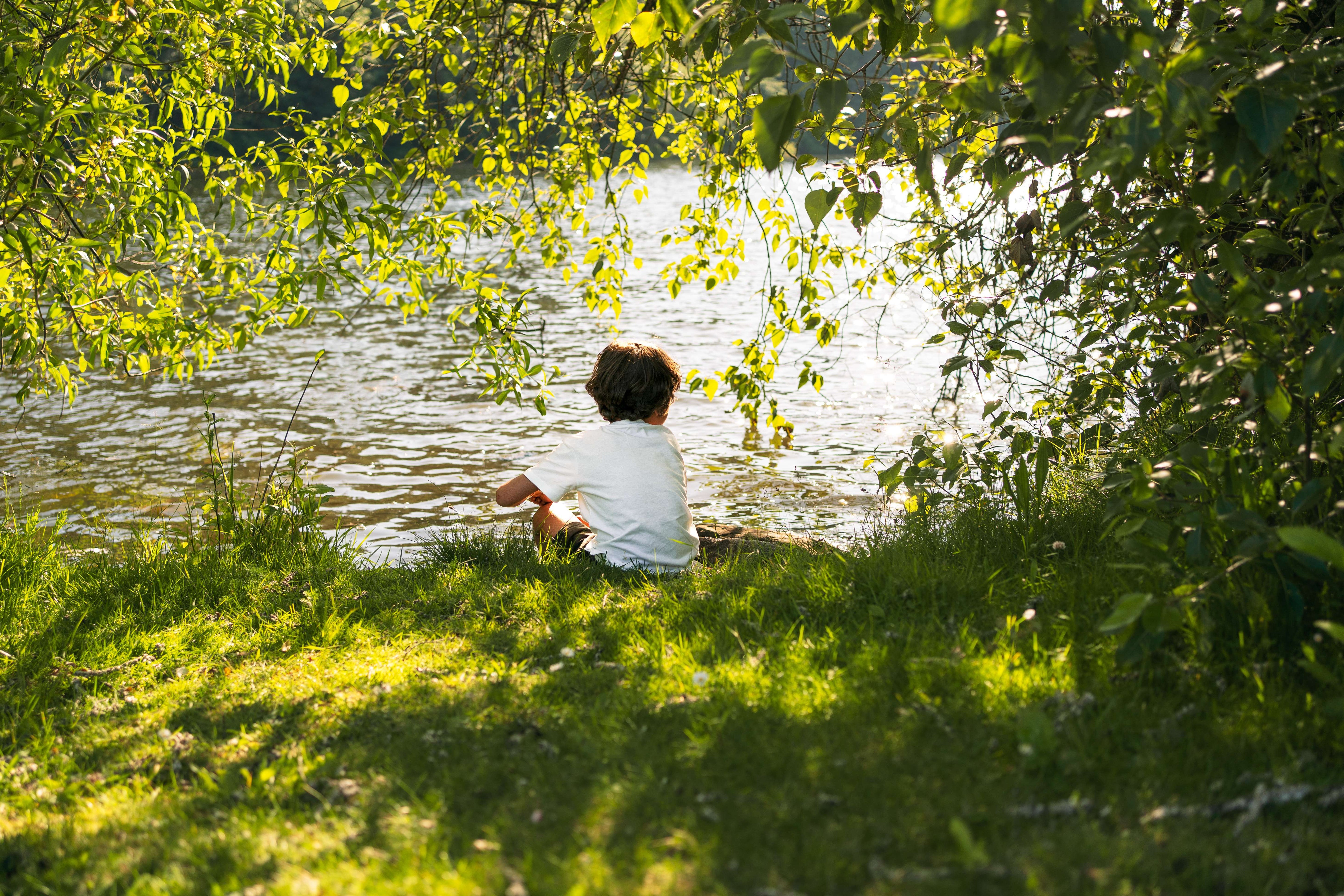 Person sitting by a lake surrounded by greenery